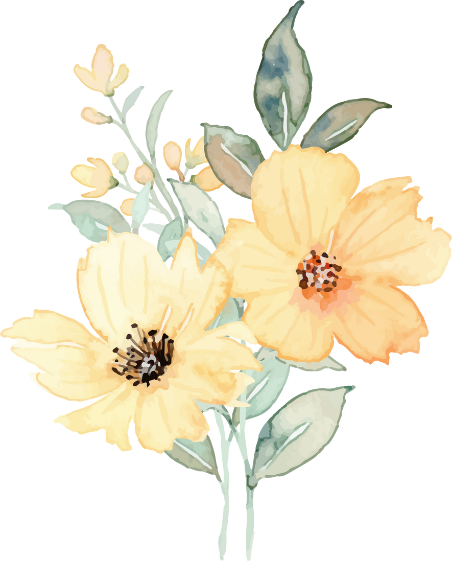 Watercolor Yellow Flowers Illustration 
