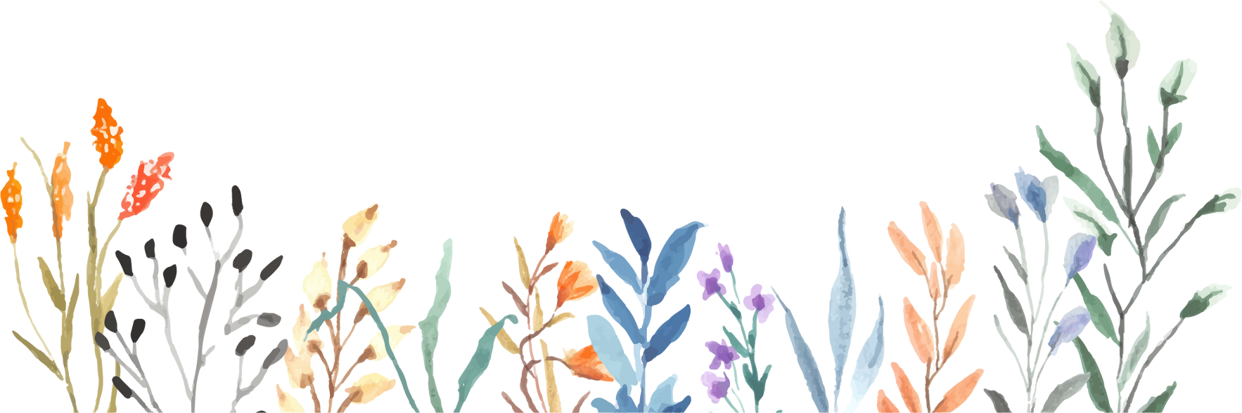 Watercolor Wildflowers Illustration